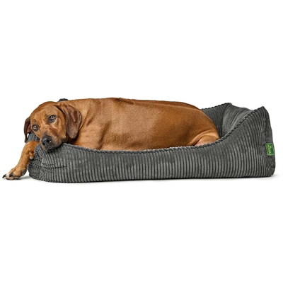 Hundeseng fra Hunter